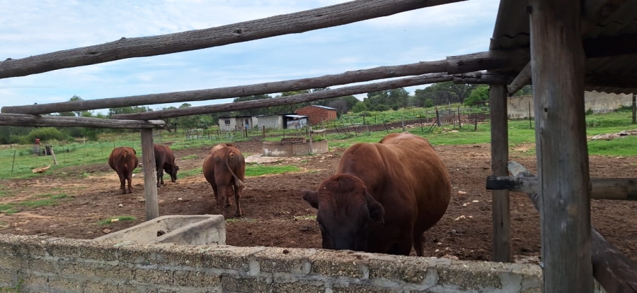 2 Bedroom Property for Sale in Koster North West